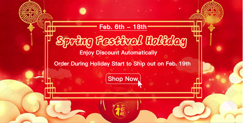 VXDAS Spring Festival Holidays Banner 1 - admin